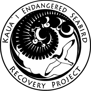 Kauai Endangered Seabird Recovery Project